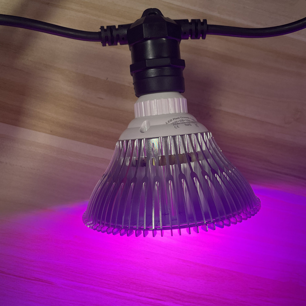 10M kabel LED-slinger van comm - Outdoor Lighting Diy recensie en prijs