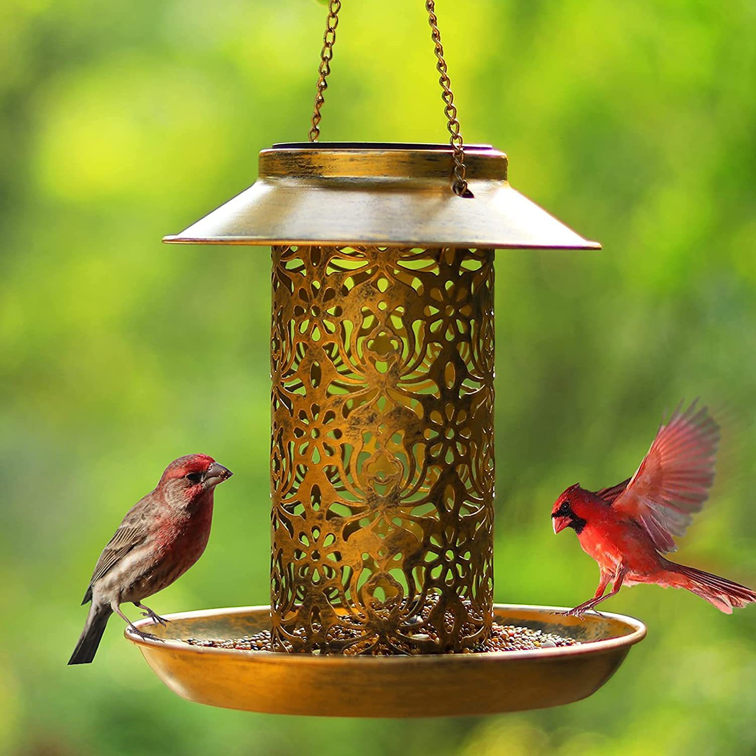 Hangend vogelhuis Metaal buite - Outdoor Lighting Backyard Ideas recensie en prijs